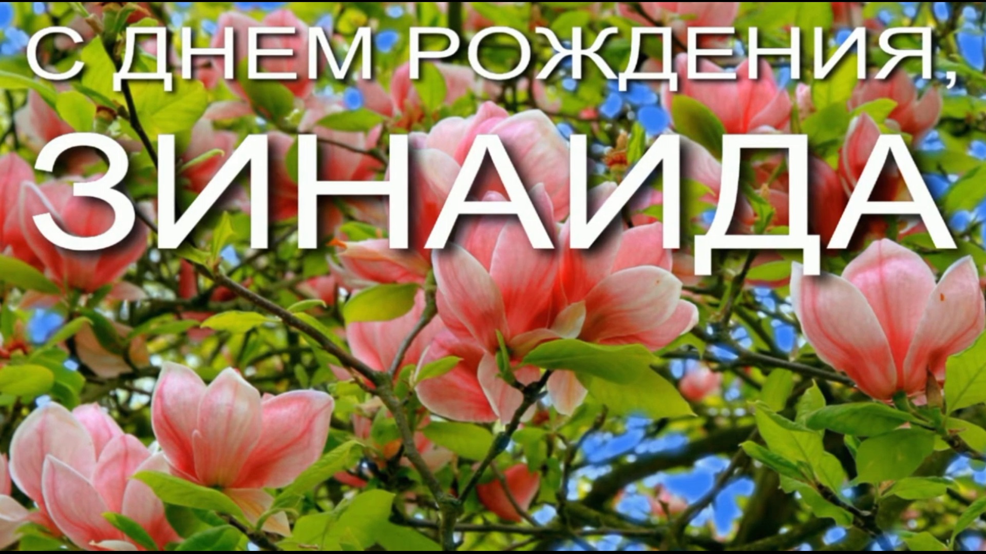 ЗИНАИДА, С ДНЕМ РОЖДЕНИЯ смотреть онлайн