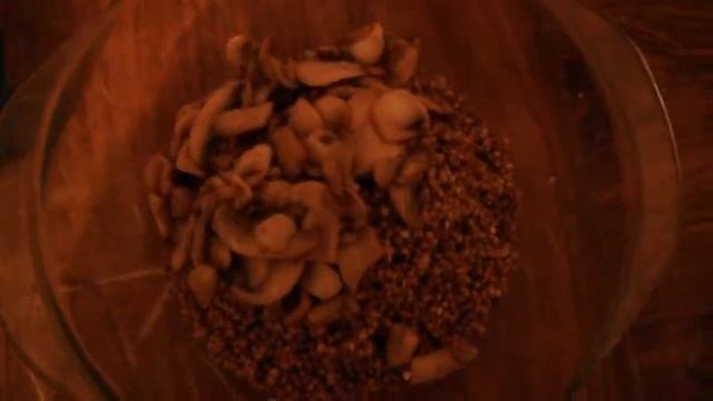 Аниме-Ревью и Обзоры