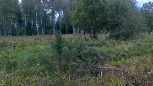 На ШТУРМ в ЛЕС?️?|BSE Evo 110| Часть 1 смотреть онлайн