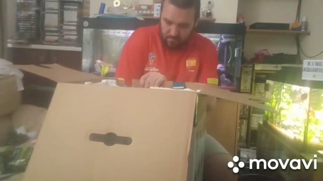 New Fish Tank And Accessories For Fathers Day!! смотреть онлайн