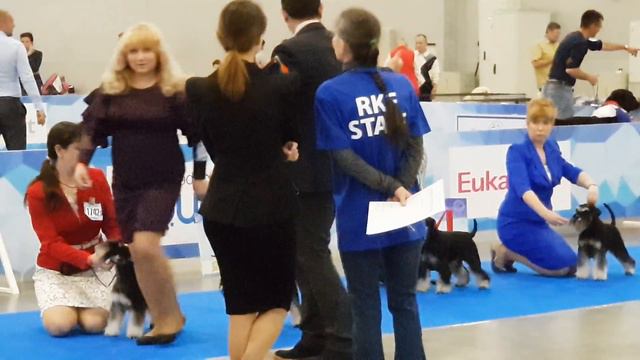 Евразия 2018. День 1. Суки открый класс ч.2 смотреть онлайн