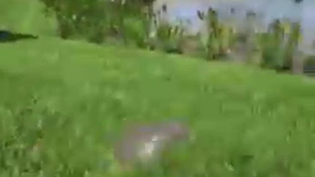 Когда услышала про суп