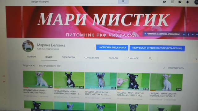 УРА !!! НА КАНАЛЕ НАШЕГО ПИТОМНИКА - 8 888 ПОДПИСЧИКОВ !!!!! ( ПИТОМНИК 