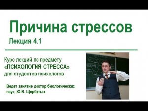 Причины наших стрессов