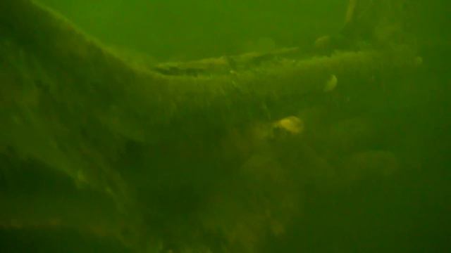 Zimní potápění na lomu Polná u Hazlova смотреть онлайн