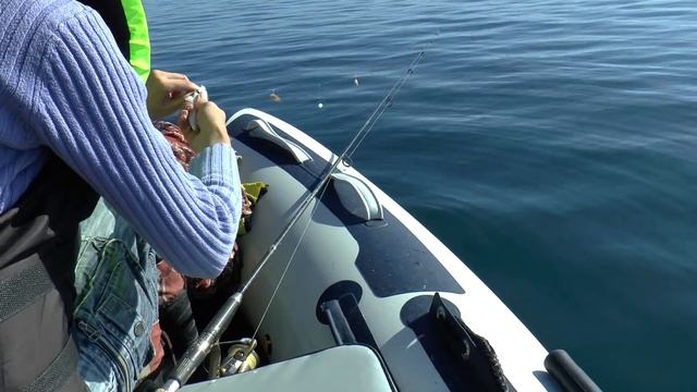 Рыбалка в Крыму. Горбыль, ласкирь. Севастополь, Немецкая балка (Орловка). смотреть онлайн