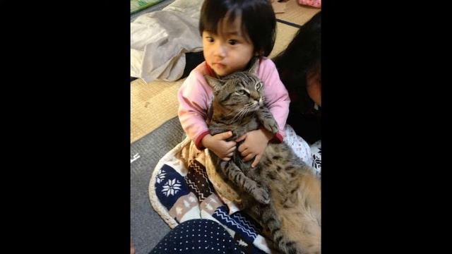 Смешные ролики про животных видео 2019 - Смешное видео МатроскинТВ смотреть онлайн