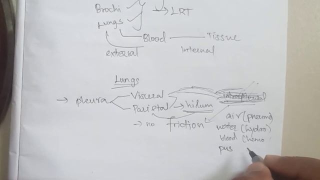 Respiration Introduction and alveoli|Tamil explanation |Sukumiii смотреть онлайн