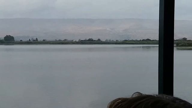 Израиль где зимуют птицы? Парк Агамон Ахула (Израиль Галилея) смотреть онлайн