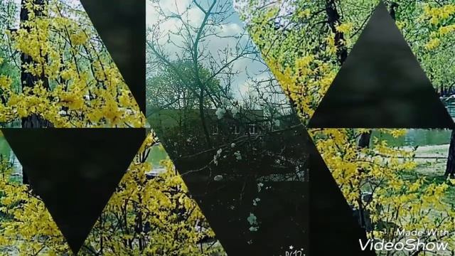 Фото природы в моём городе за апрель ?? смотреть онлайн