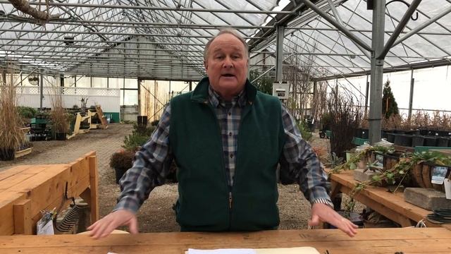 Why are lawns the number one priority in landscaping? смотреть онлайн