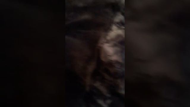 меховое одеяло из шубы . смотреть онлайн