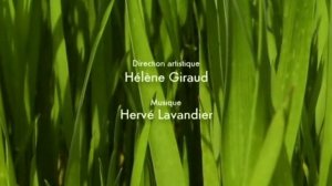 История любви Букашки