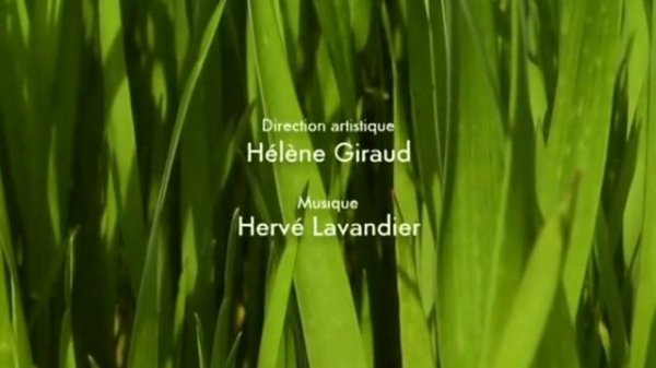 История любви Букашки