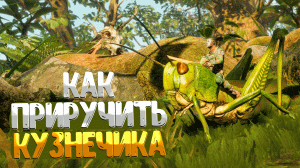 Smalland Survive the Wilds ➤ КАК ПРИРУЧИТЬ КУЗНЕЧИКА / КАК ПРИГОТОВИТЬ ПРИМАНКУ