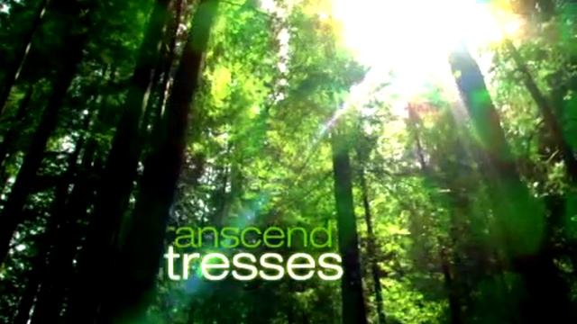 Zenses Ocean DS Trailer смотреть онлайн