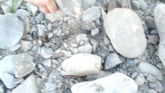 Вбили ужа смотреть онлайн