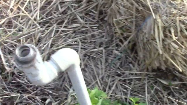 Подмёрзла смородина биг бен,венера и эбони в этом же ряду выстояли смотреть онлайн