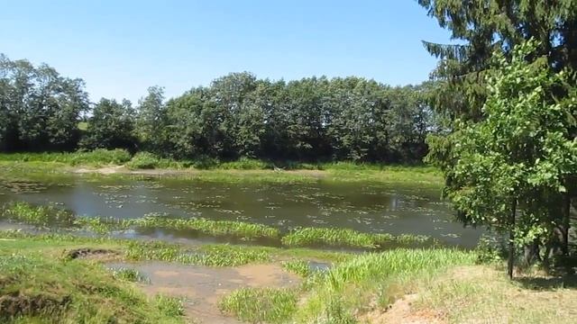 Озеро "Борово". Витебская область. смотреть онлайн