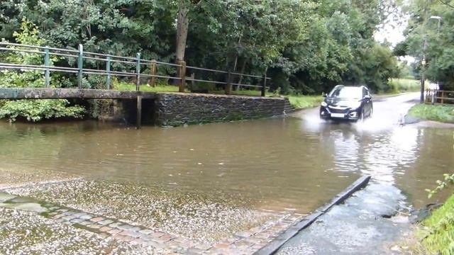 splish splash mews смотреть онлайн