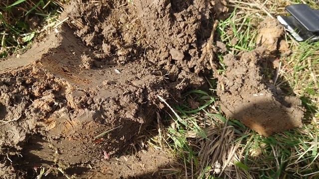 XP DEUS 2. Гипс снимают, забор поставили, чё делать? ??? #xpdeus2 #коп2023 #серебро