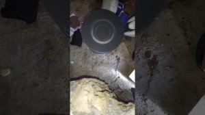 Полировальная машинка Диолд