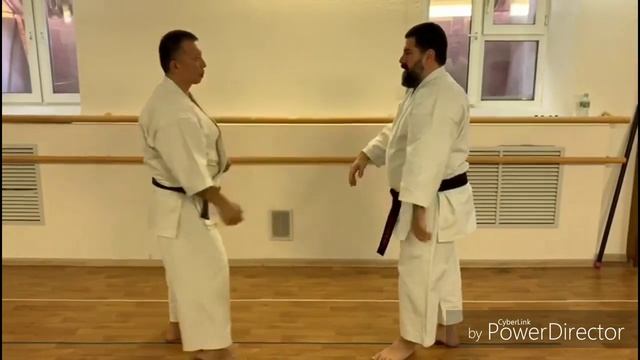 Papuren Kata Hakutsuru Hakakuken / Bunkai Kata Sensei Totibadze 8 Dan Karate Shito Ryu Mabuni