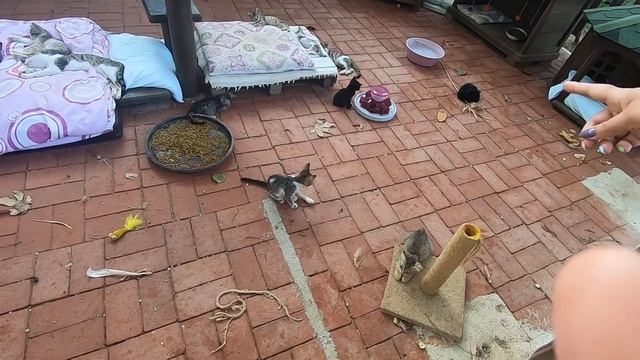 ПРОГУЛКА ПО АЛАНЬЕ | МАГАЗИНЫ ТКАНЕЙ | УЛИЦА БАРОВ | ИЮЛЬ 2021 смотреть онлайн