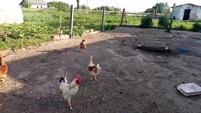 Куда пропал. смотреть онлайн
