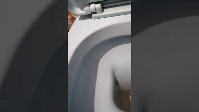 Как очистить унитаз без моющих средств. смотреть онлайн