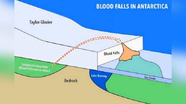 Самые Необычные Природные Явления На Планете смотреть онлайн