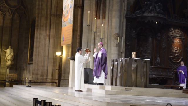 Hommage à Cathedrale Notre-Dame de Paris смотреть онлайн