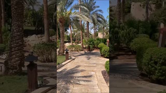 Иордания. Jordan. 约旦。 смотреть онлайн