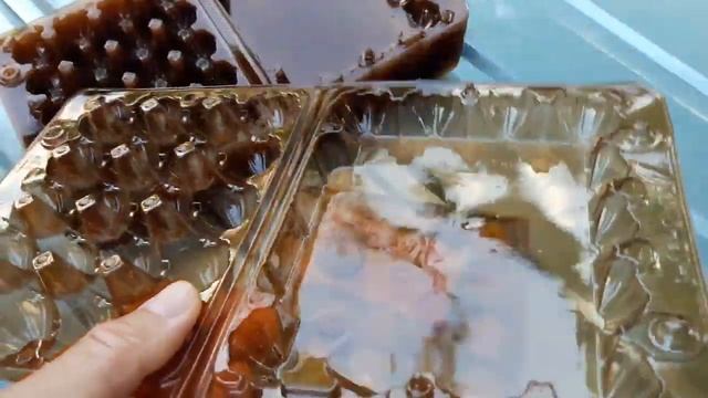 МОЙ ВЫБОР ЛОТКОВ ДЛЯ ПЕРЕПЕЛИННЫХ ЯИЦ. ЦЕНООБРАЗОВАНИЕ- ЦЕНИ НА ТОВАР. смотреть онлайн