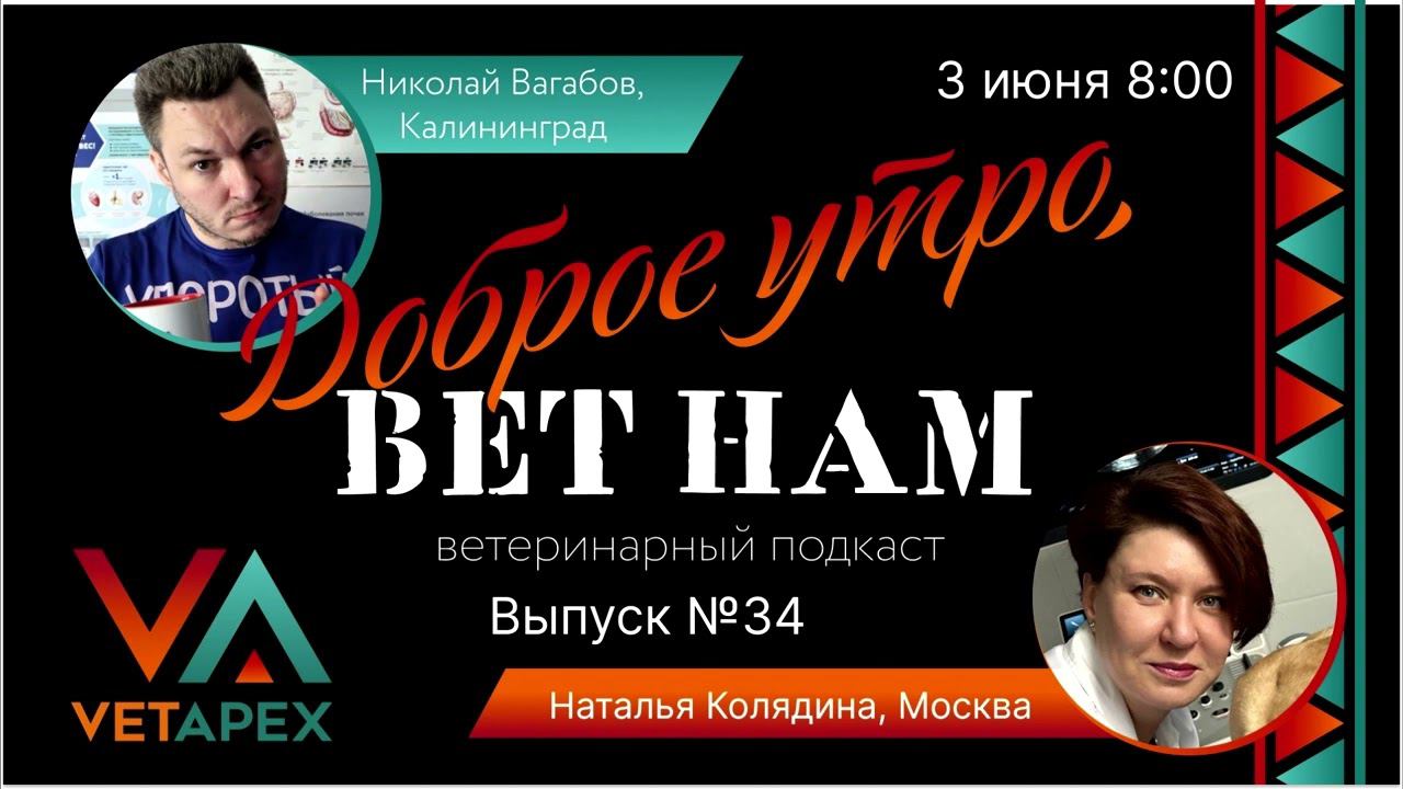 ВетНам 34 Наталья Колядина 03.06.2024.