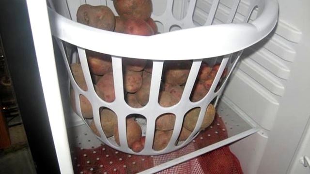 ПОЧЕМУ НЕЛЬЗЯ ХРАНИТЬ КАРТОШКУ В ХОЛОДИЛЬНИКЕ? ОНКОЛОГИ ПРОТИВ смотреть онлайн