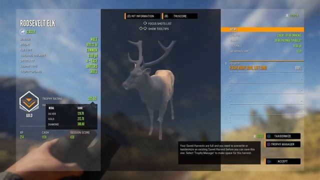 Blood Trail/Track Glitch Needs Fixed!!!|The Hunter Call Of The Wild смотреть онлайн