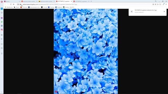 Как поставить баннер в discord чтобы все видели смотреть онлайн