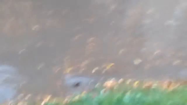 Потоп у нас в городе смотреть онлайн
