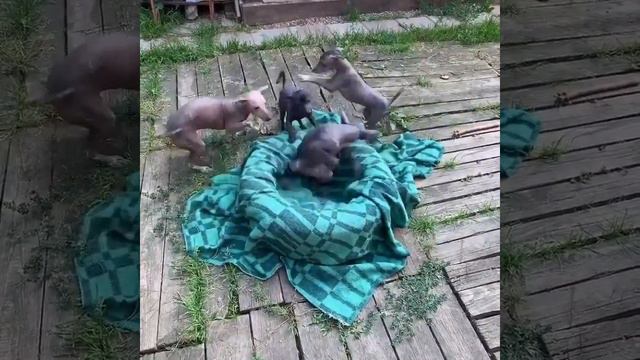 Summer 2020 смотреть онлайн