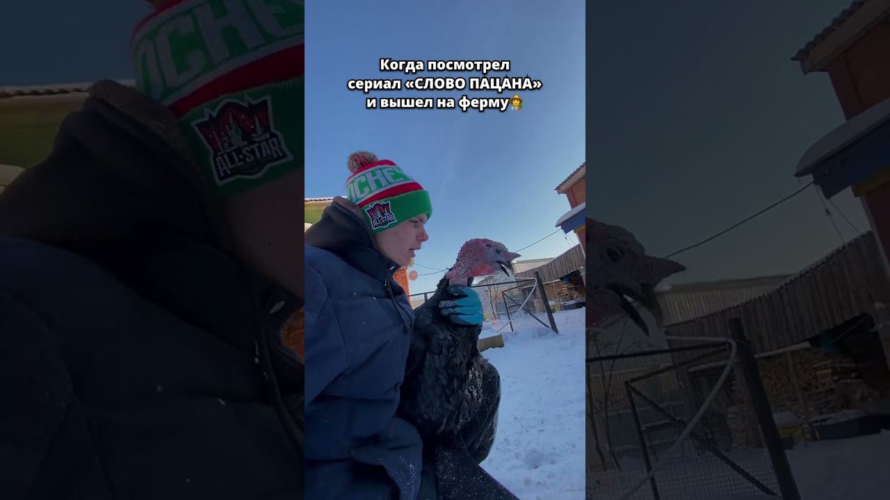 Индюк Валера точно не Чушпан  Отправь своему ЧУШПАНУ