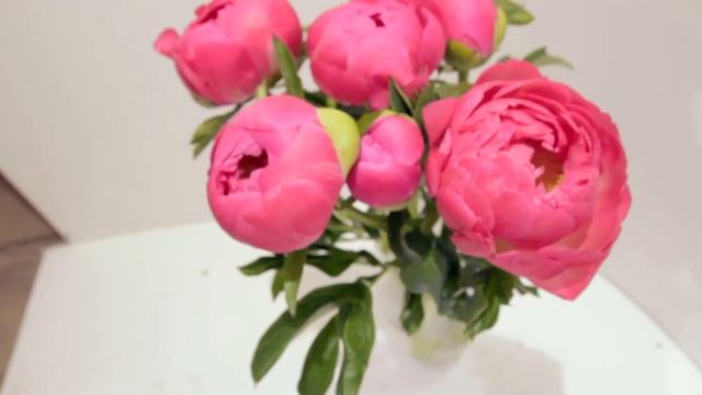 Коралловые пионы смотреть онлайн
