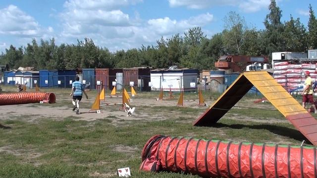 Умберто НАТИ 26-07-2014 Аджилити А1 смотреть онлайн