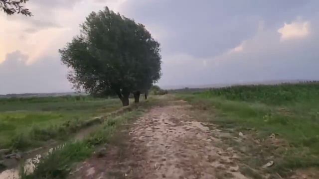 СВЕЖАЯ СВОДКА//ТОЛЬКО ЧТО ПРИШЛА НОВОСТЬ. смотреть онлайн