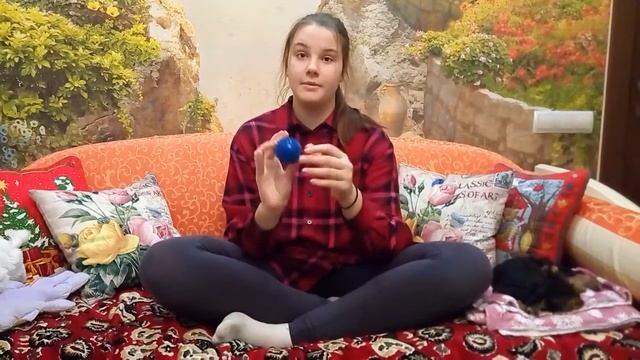 Что НАДО покупать щенкам Йорков (Йоркширских терьеров) смотреть онлайн