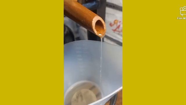 ДОБЫЧА МАСЛА КЕДРОВОГО ОРЕХА. смотреть онлайн