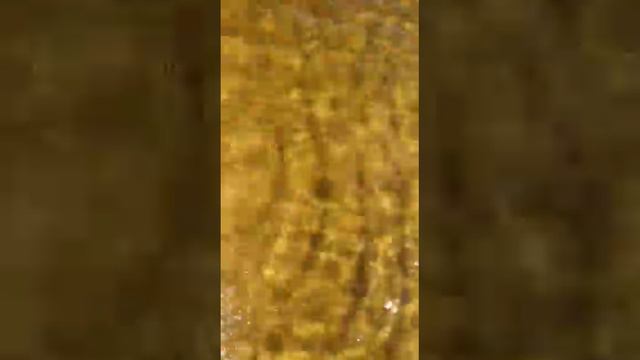 Рыбалка, Карелия, Онега, Челмужская коса, 2019 год. смотреть онлайн