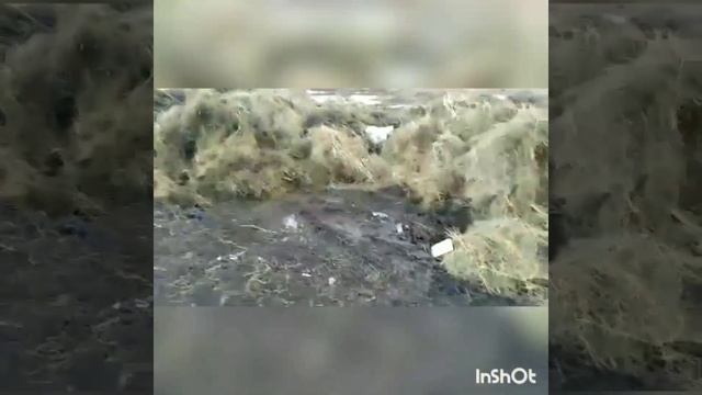 Спасите природу.