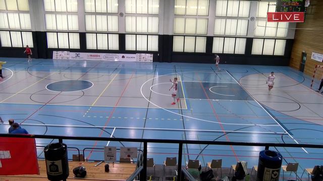 Handball: NLB Playoff Final-Rückspiel: CS Chênois Genève Handball - SG Wädenswil/Horgen смотреть онлайн