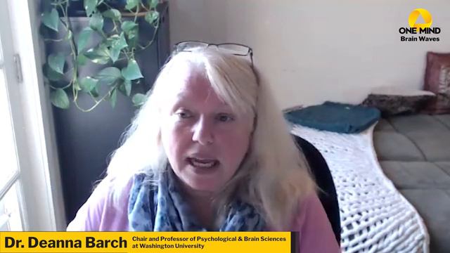 Dr. Deanna Barch Discusses Early Adversity смотреть онлайн